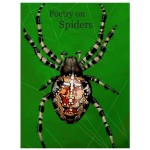Poetry on Spiders ebook cover for website 1
