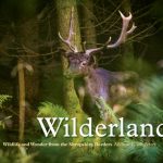 Wilderland cover and pics andrew fusek peters-1